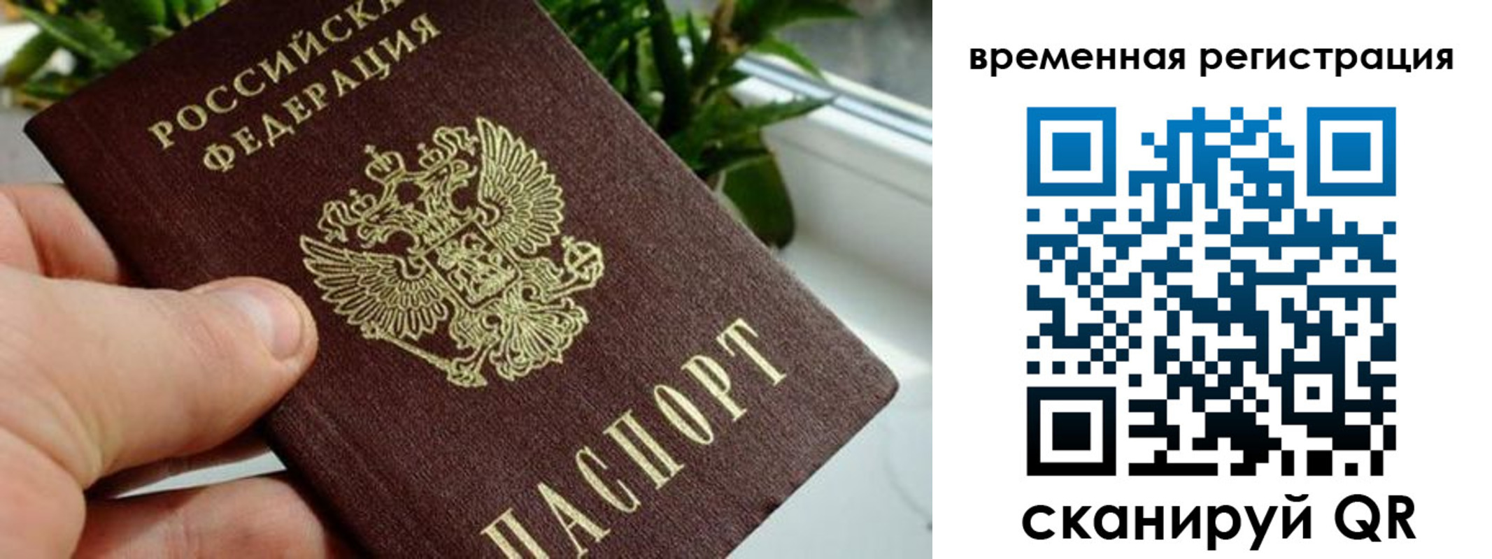 прописка поиск в Поворино